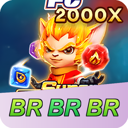 Formulário de Registro BRBRBR